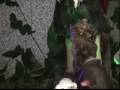 videos de Adeste Fideles