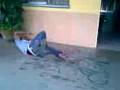 videos de tecnicos laboratoristas - predicacion con el hermano cesar