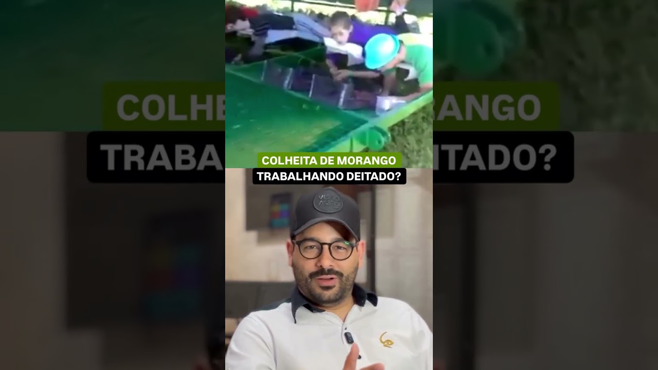 O emprego dos sonhos existe: colher morango deitado 😂🍓 #curiosidadesdoagro #agro #visãoagro