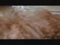 ワイヤーアクション動画6
