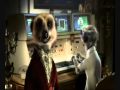 Compare The Meerkat Advert all in one (Compare The Market), Cheap Car Insurance
