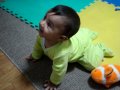 Isabella 8 Meses