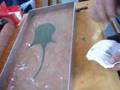 EBRU Fascination Fluid Flow Part I