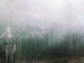 WALD \"Äste\"(Bohren Und Der Club Of Gore,Mark Sikora) WALD \"Äste\"(Bohren Und Der Club Of Gore,Mark Sikora)