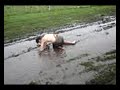 Fucking Retard 02 - NATA