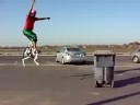 kale on jumping stilts kale on jumping stilts