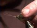 Fly Tying Lesson: The G & H Sedge