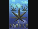 Stoned again.. Stoned again..