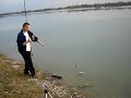 fishing....babuška , fider