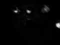 Chcia?bym umrze? z mi?o?ci