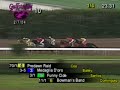 Medaglia D'Oro - 2004 Donn Handicap - free flv video @ vwatch.tv