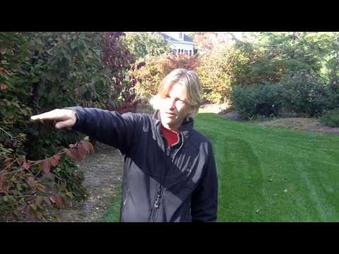 how to drain wet yard