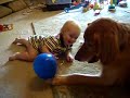 Baby laughs hysterically at dog playing with a balloon 