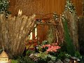Botanic gardens 003.AVI
