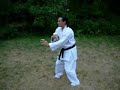 *Please Read Description* A Fujian White Crane Kungfu Form