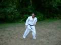 *Please Read Description* A Fujian White Crane Kungfu Form