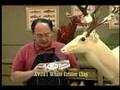 Whitetail Deer Taxidermy: Eyelid Sculpting with Rick Carter