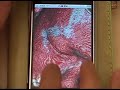 3D Advanced Visualization using an iPhone