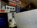 hollli cow students