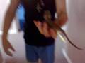 lizard