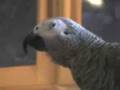 Barney making debut on Youtube