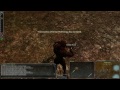 Darkfall - Accelerated Character Development Guide - P1