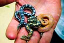 videos de SnakeBytesTV-Show Me The Money!