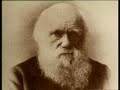 Sozialdarw.=Darwinismus=pseudo Wissenschaft Sozialdarw.=Darwinismus=pseudo Wissenschaft