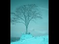 CoNsCi�nCiA SuBuRbAnA - Selva de Pedra