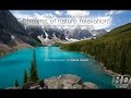 "DREAMS OF NATURE" AN INSPIRATIONAL ..