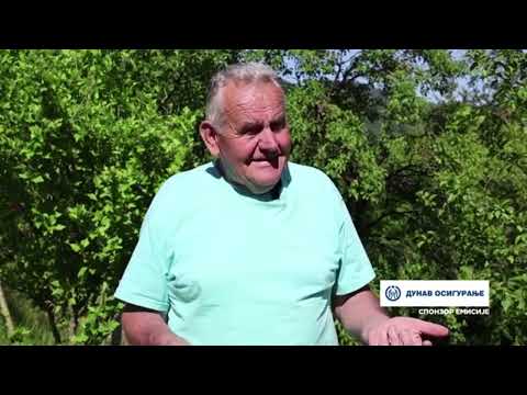 PORODICA NIKAČEVIĆ IZ PRIBOJSKOG SELA ORAŠAC, BAVI SE STOČARSTVOM. GAJE MUZNE KRAVE I KOZE