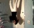 videos de FL4SH