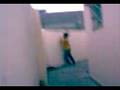 videos de pelea
