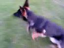 de ongeduld zelve de ongeduld zelve