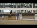 mark and roscoe (addington manor)