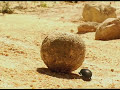 Minuscule Official video Minuscule Official video