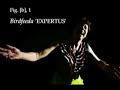 What You Do (Playing With Stones)Big Bass vs Michelle Narine