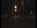 ollie over 6 decks
