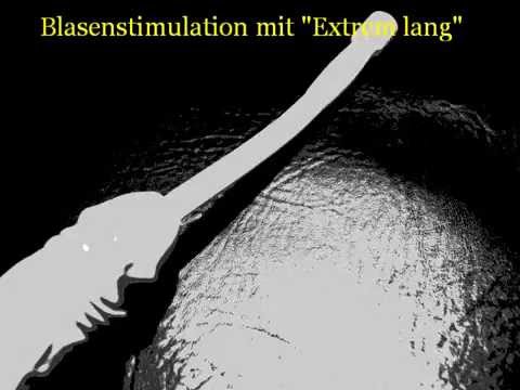 SchoepfersReiz.de -  31,5/1,3 cm Extrem lang - Silikon Dilatator - Prinzenzepter - Urethral Sounding