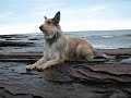 Flicka 13 months / beaches