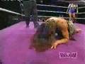 Jungle Grrrl vs. Bronco Billie from WOW #7