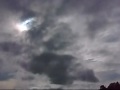 E_bobcat25_v2.wmv