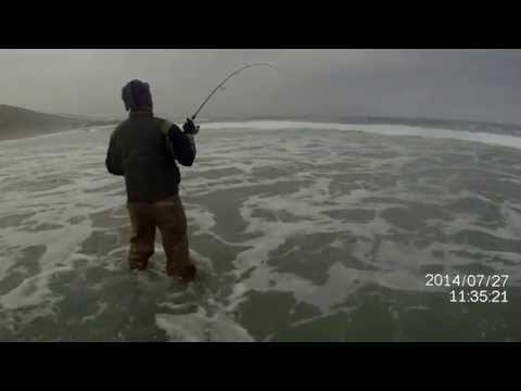 pesca corvina 10k en atacama chile