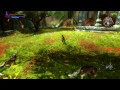 Kingdoms of Amalur: Reckoning (2012) (PC) (Big Huge Games)