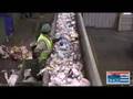 DNCC Green Screen: Recycling