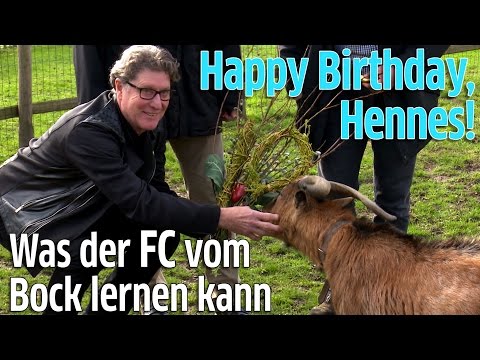 1. FC Köln: Geißbock Hennes VIII hat Geburtstag! Tony Schumacher gratuliert im Kölner Zoo