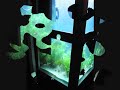 F�te des Lumi�res 2007 - Lyon