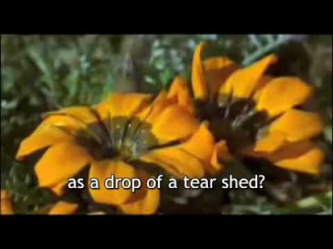 Vellai Pookal - Kannathil Muthamitaal (Eng Sub)…