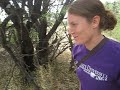 Playing at the Ranch - Part II