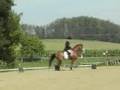 videos de Jazz Dressage at Stone Gate Farm HT
